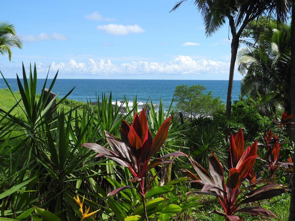 Casas Pelicano Playa Junquillal Exteriör bild